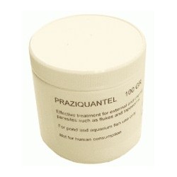 Praziquentel (anti vers)